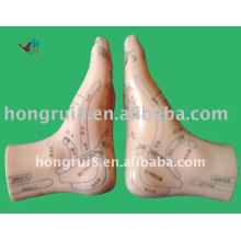 HR-515B acupuncture foot model12CM,acupuncture foot